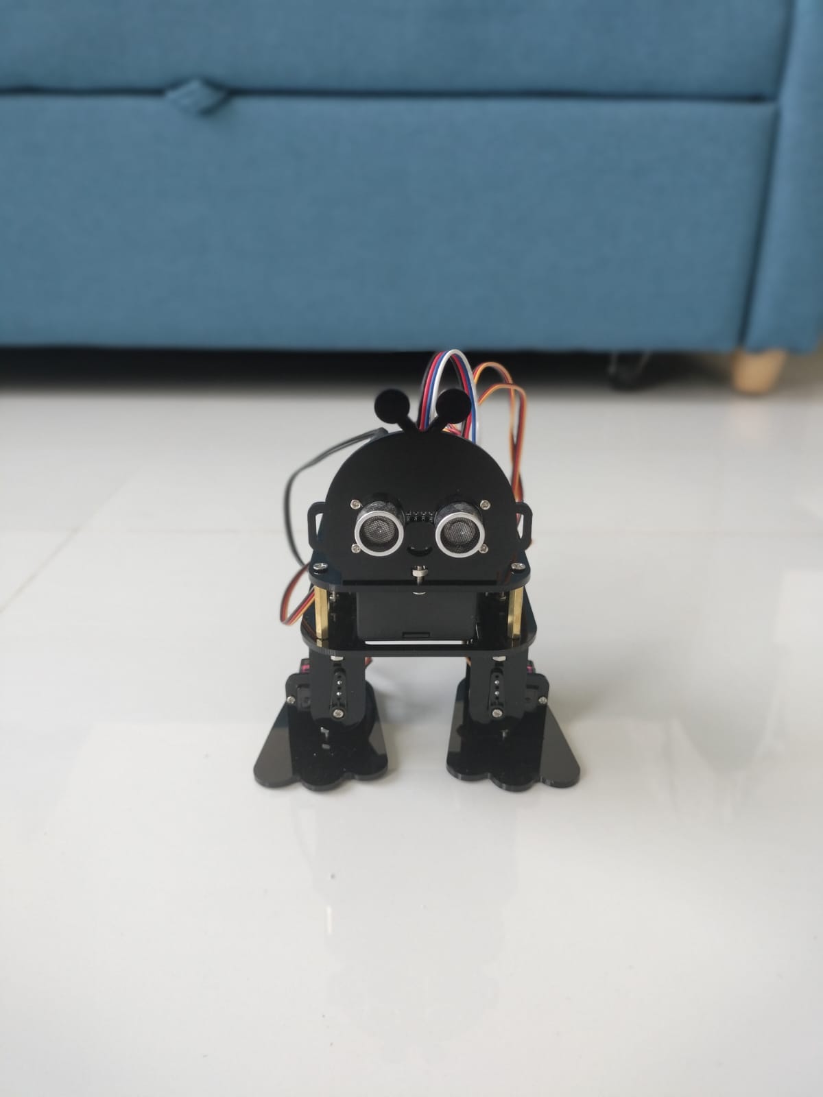 Autonomous Bipedal Robot